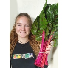 SPRAY FREE CHARD  Bunch Katikati Grown